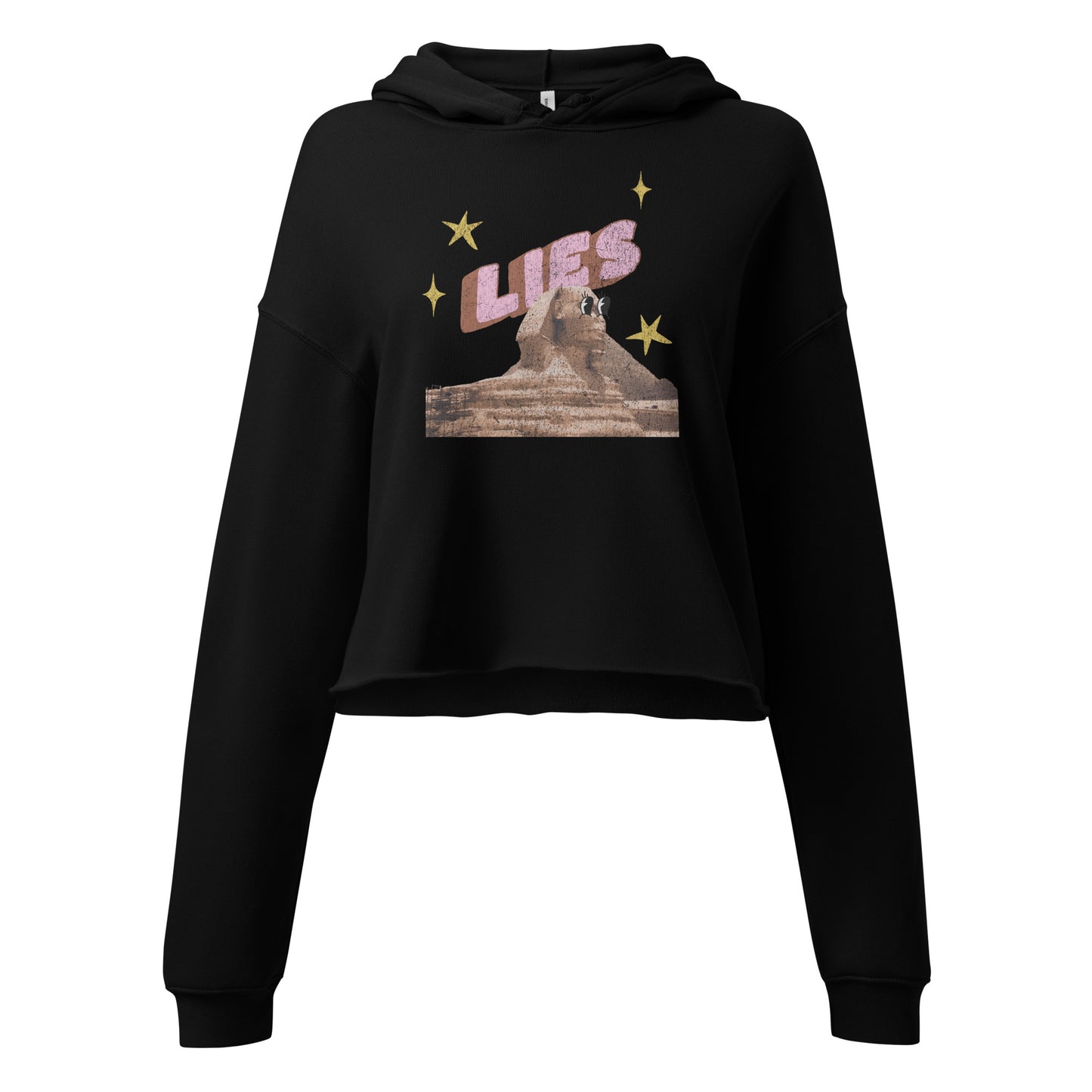 Conspiracy Crop Hoodie